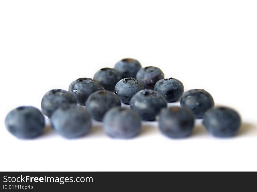 Blueberries in rows