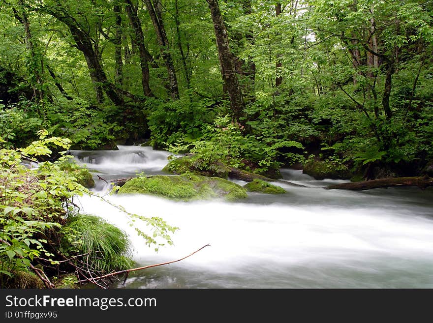 Oirase-gawa River in the Japan