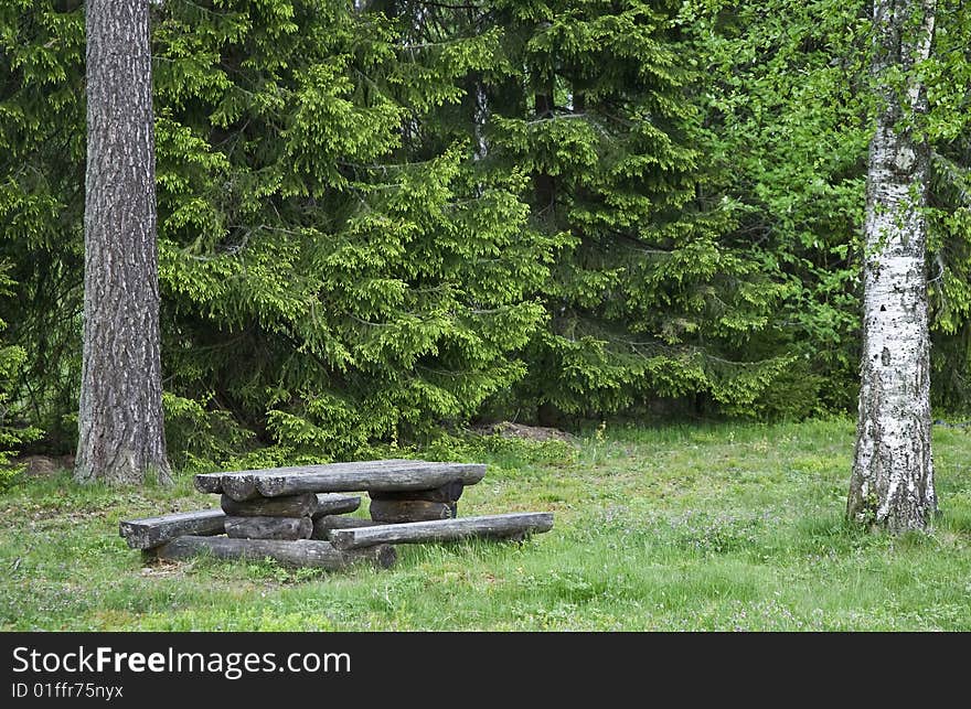 Wood Table In The Wood