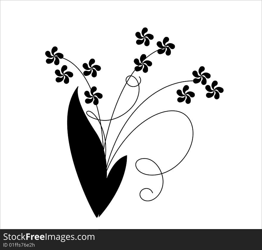 Beautiful flowers on white background