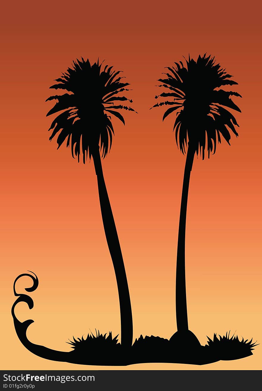 Vector illustration of two palms on tropical sunset