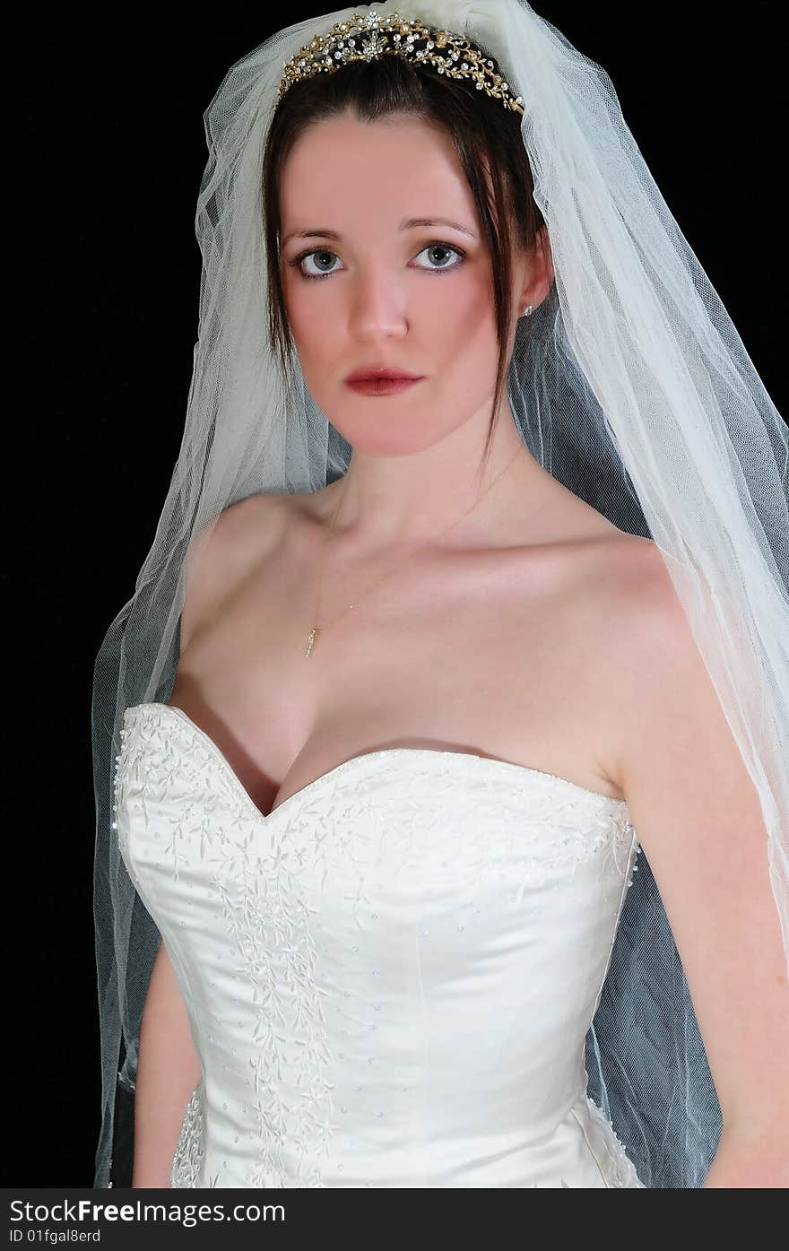 Beautiful bride in her wedding dress looking directly into the camera with a suttle expression. Beautiful bride in her wedding dress looking directly into the camera with a suttle expression.