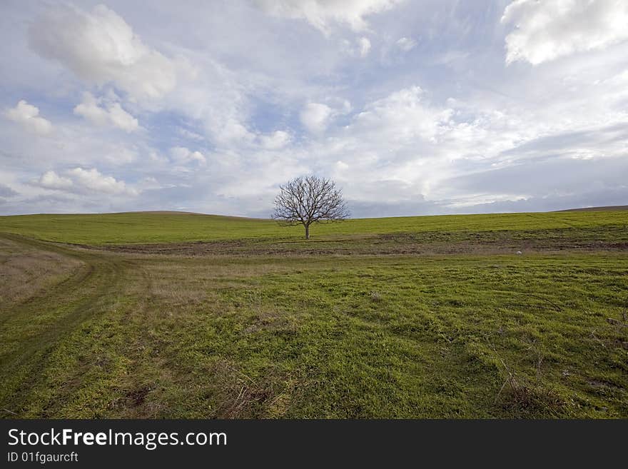 Nature- green grass and beautiful clouds