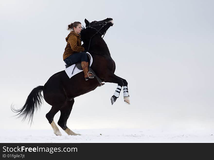 The girl is riding a horse. The girl is riding a horse