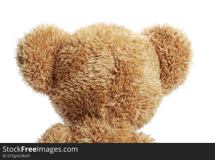 The rear of a stuffed teddy bear isolated on white shot in studio. The rear of a stuffed teddy bear isolated on white shot in studio