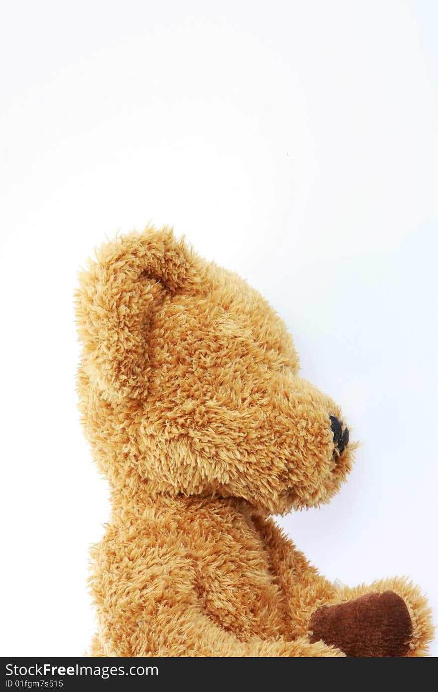 Stuffed teddy bear isolated on white shot from the side in studio. Stuffed teddy bear isolated on white shot from the side in studio