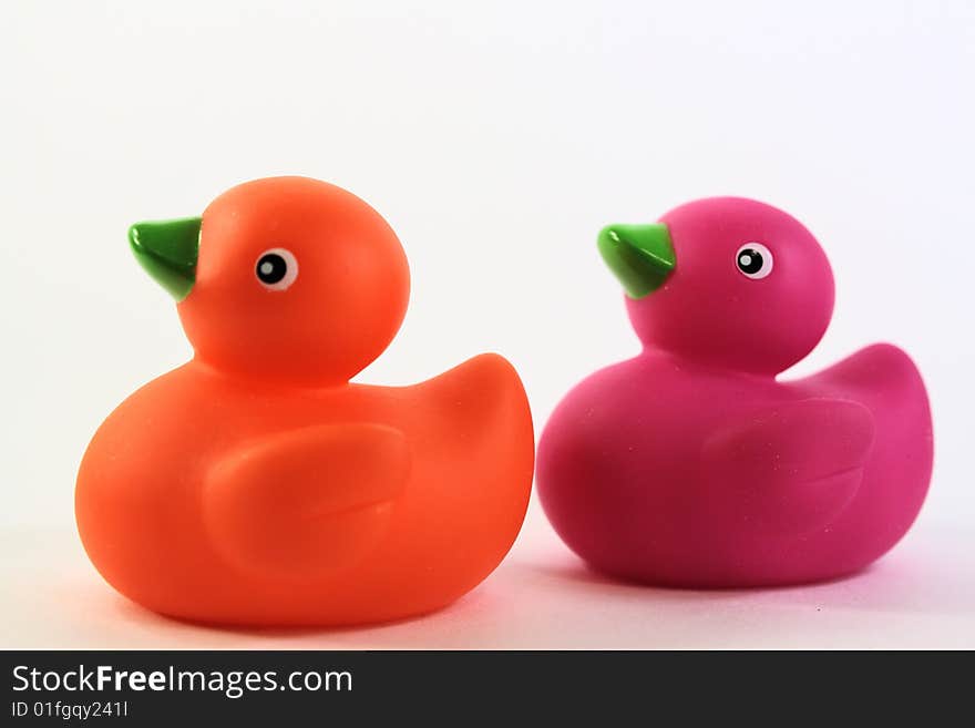 2 Ducks With White Background