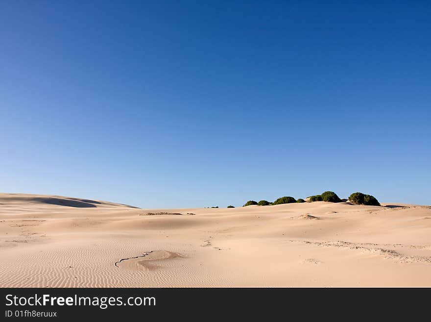 Stockton sand dunes in Anna Bay, NSW, Australia. Sand ripples detail with dramatic shadows. Taken in clean day conditions.