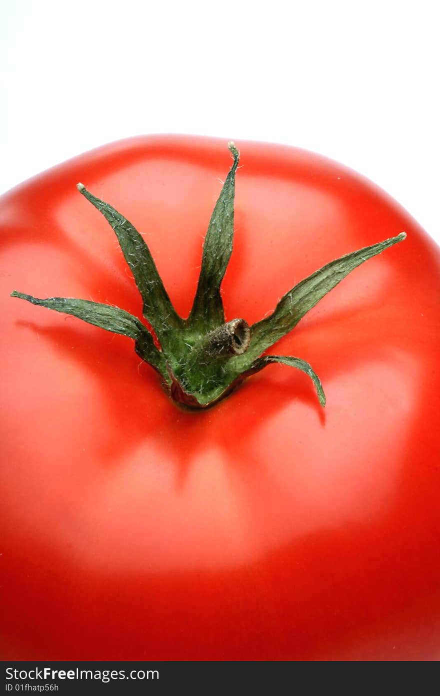 Close up of tomato , white background