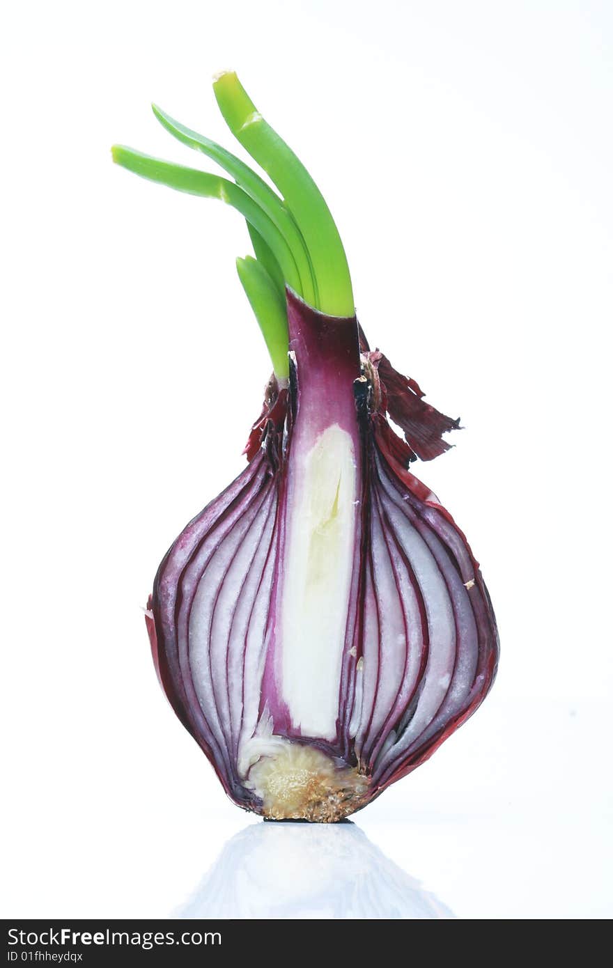 Red onion on white background