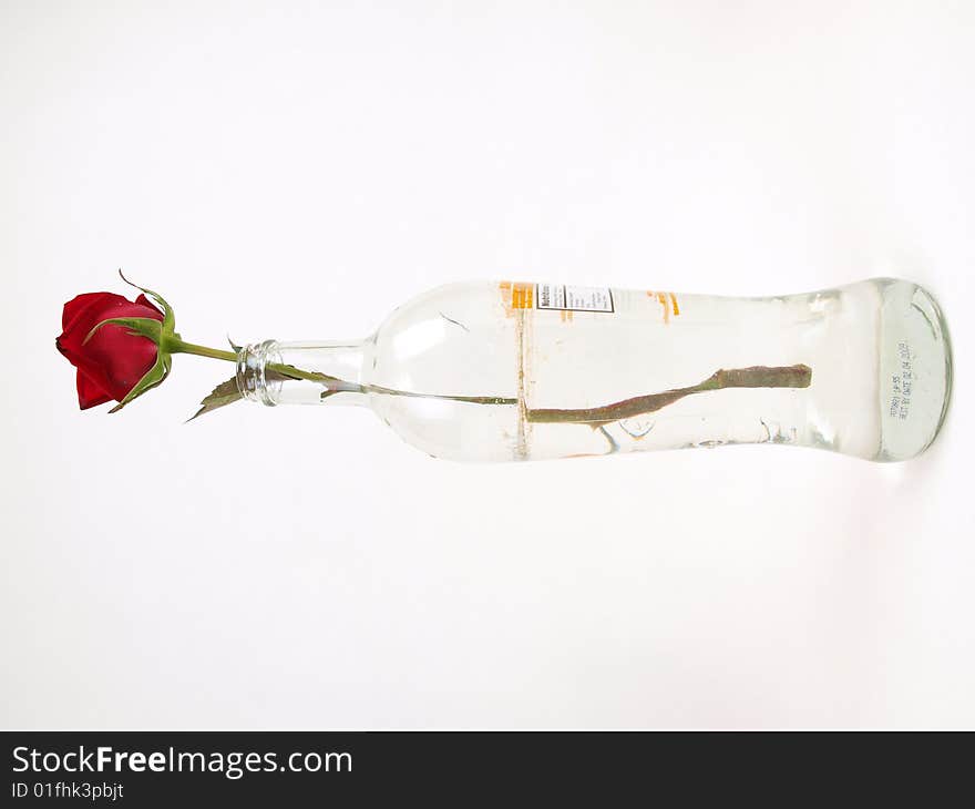 Red Rose flower in curvaceous clear transparent bottle. Red Rose flower in curvaceous clear transparent bottle