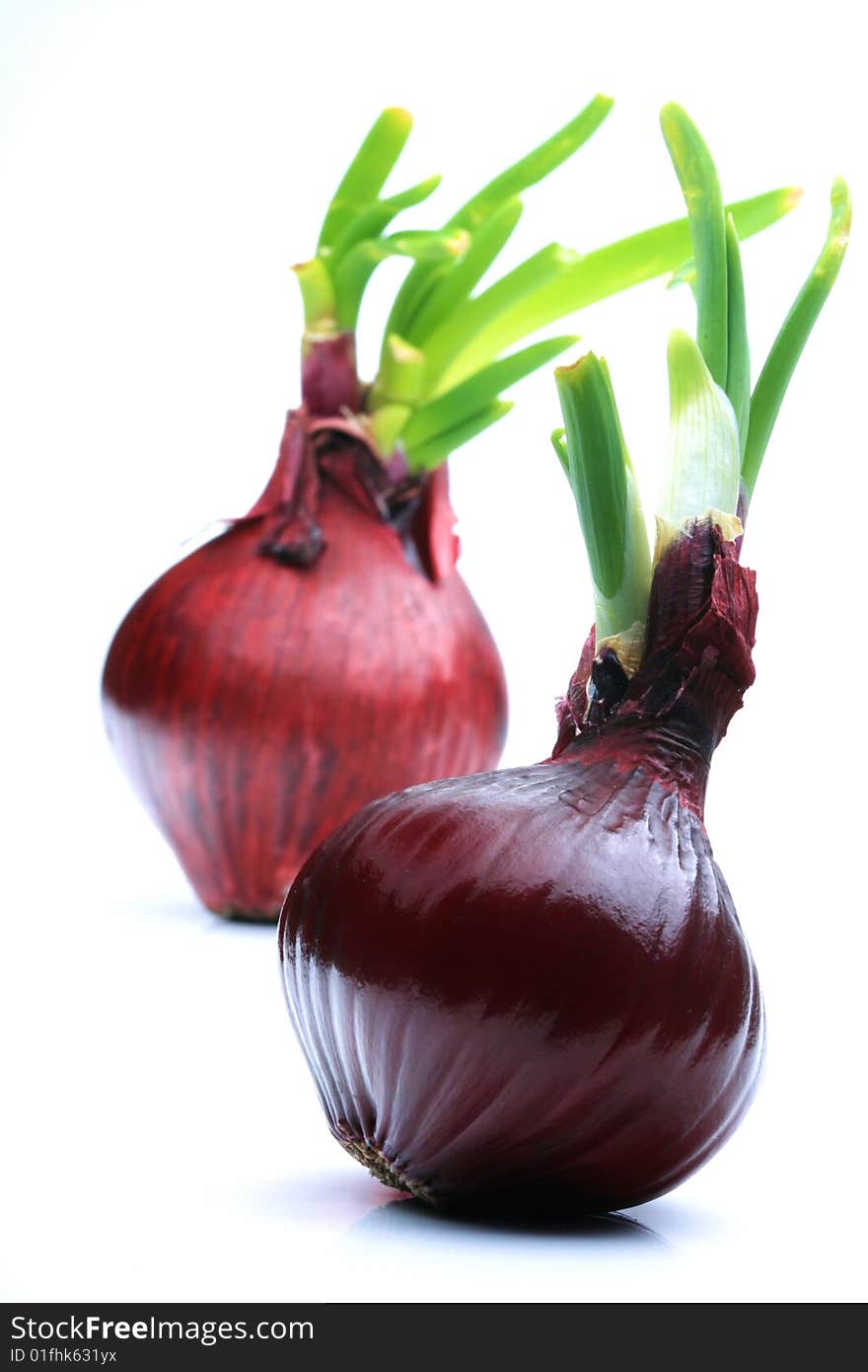 2 red onions on white background