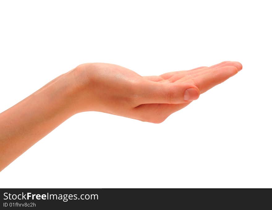 Female hand which is located on a white background.