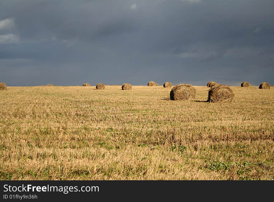 Field and the sky before a thunder-storm