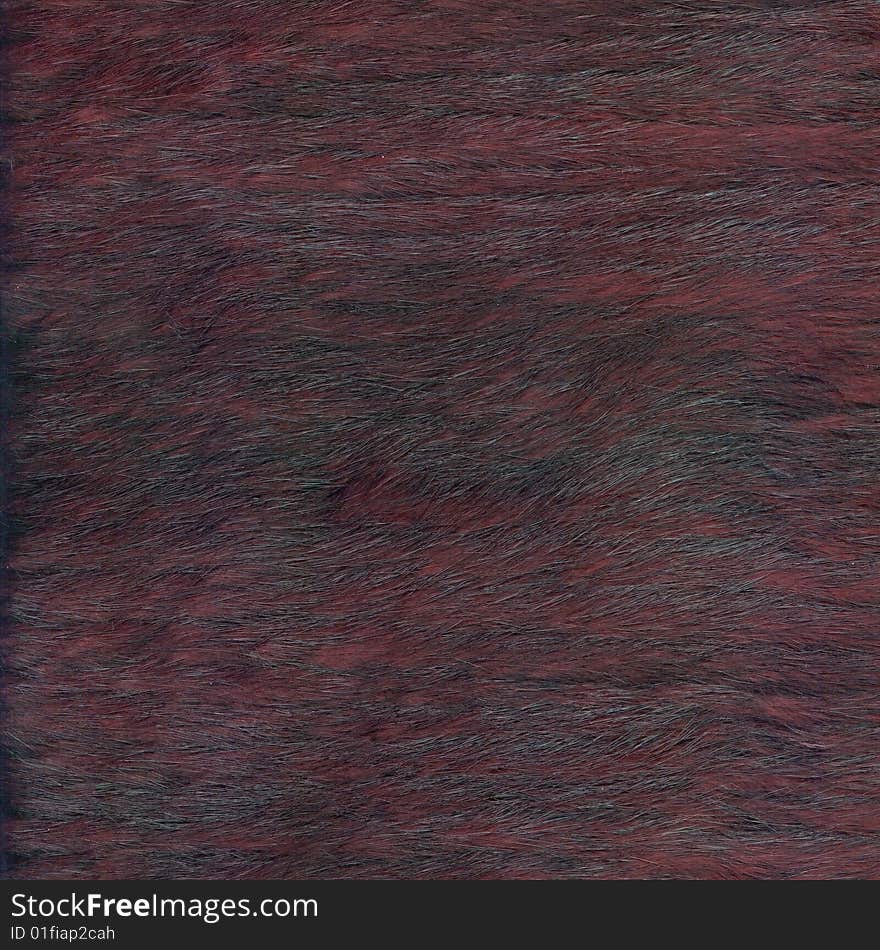 Close Up Fur Texture Background