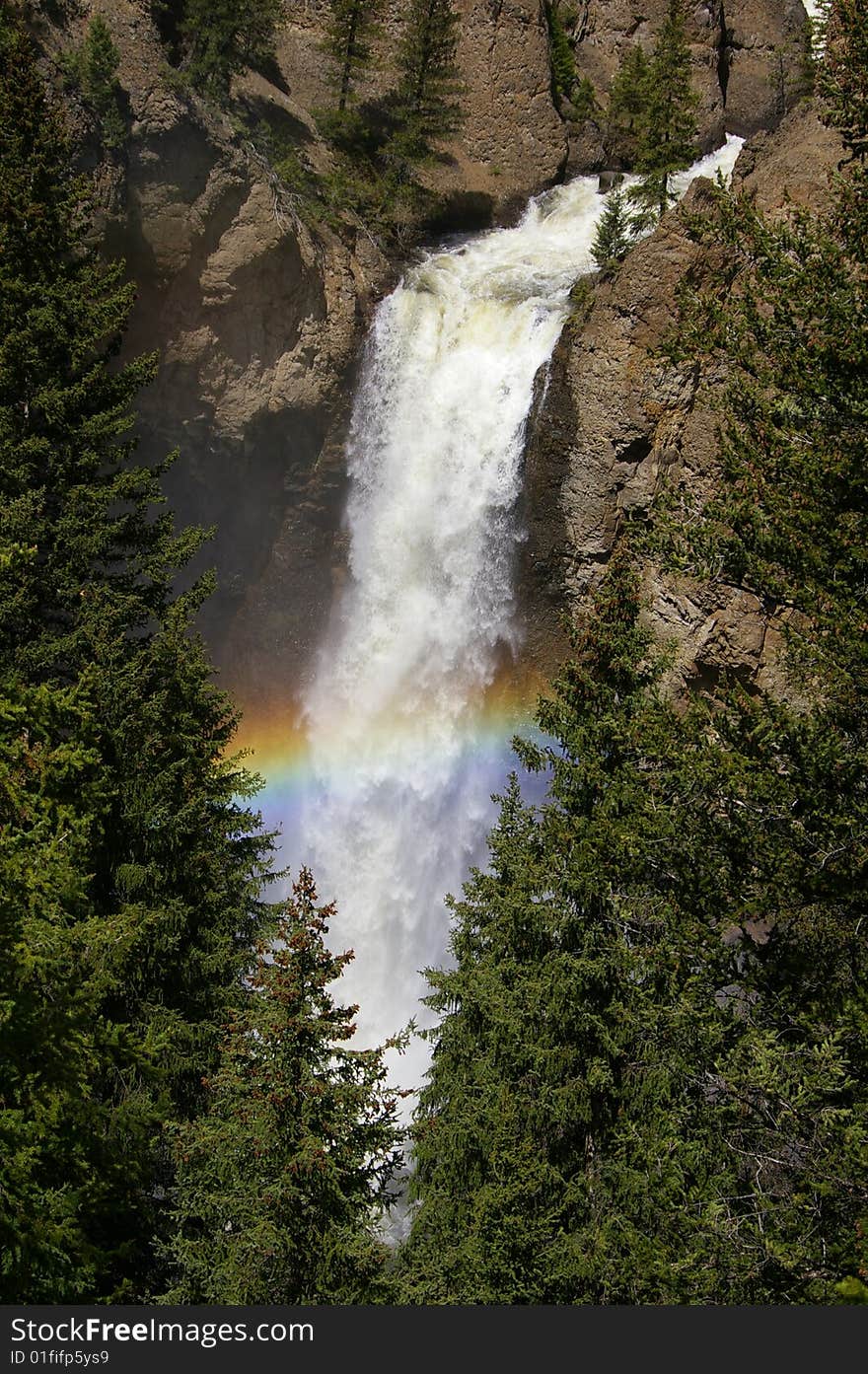 Above The Rainbow