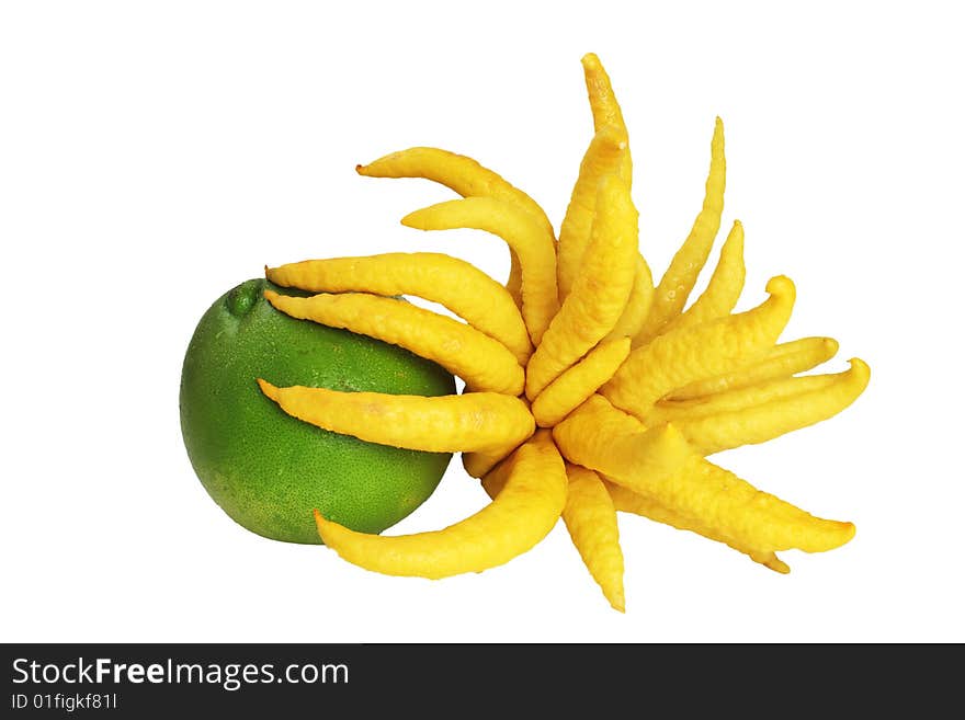 Green grapefruit and Buddha Hand Lemon on white background.