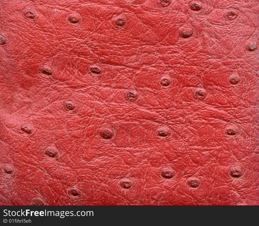 Red Reptile Leather Imitation Texture