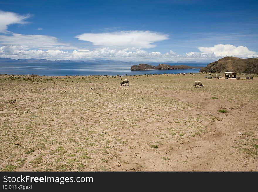 Isla del Sol - Titicaca