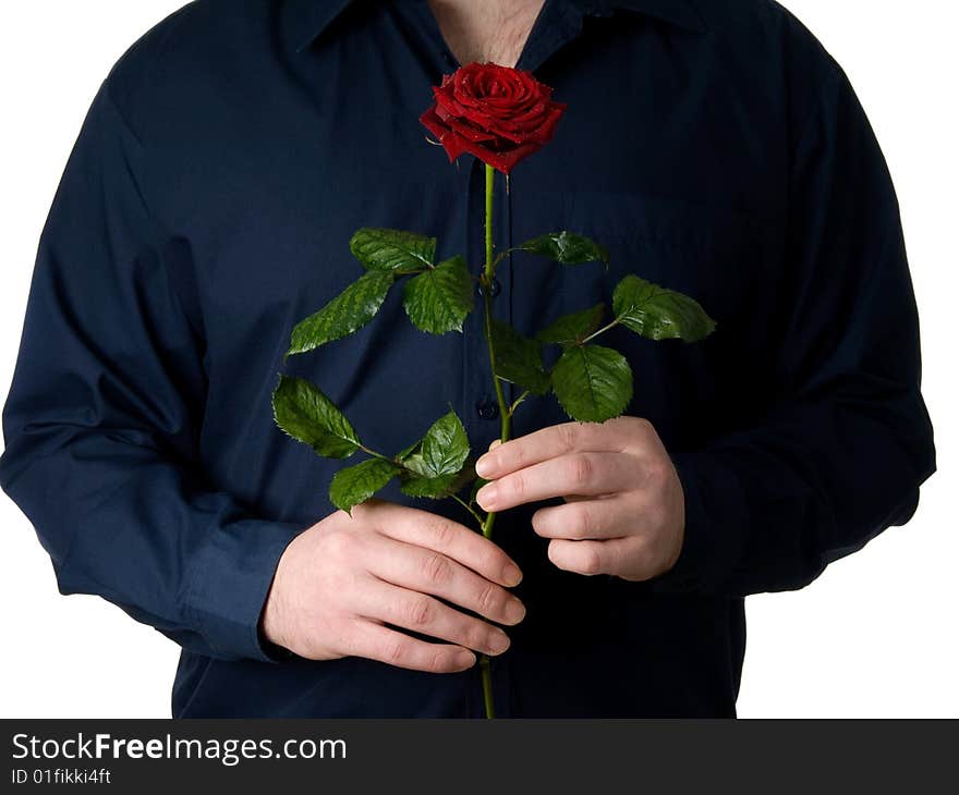 Man, standing, holding a beautiful red rose