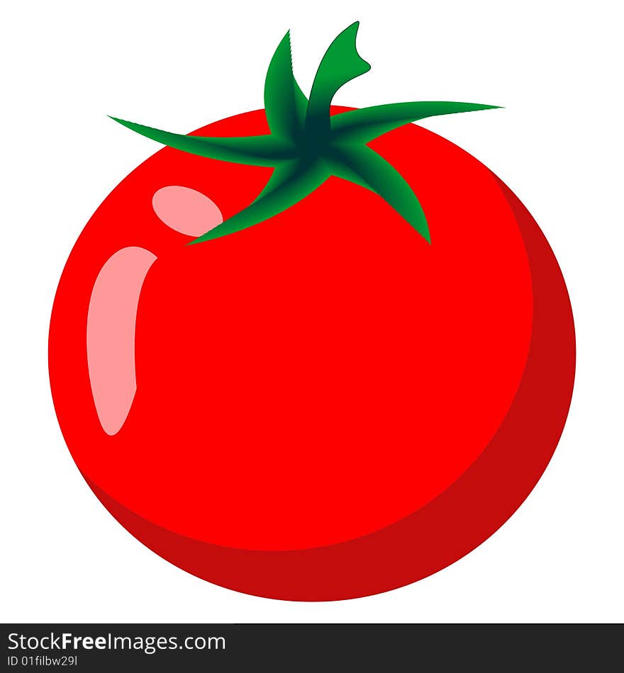 Ripe bright tomato isolated on a white background.