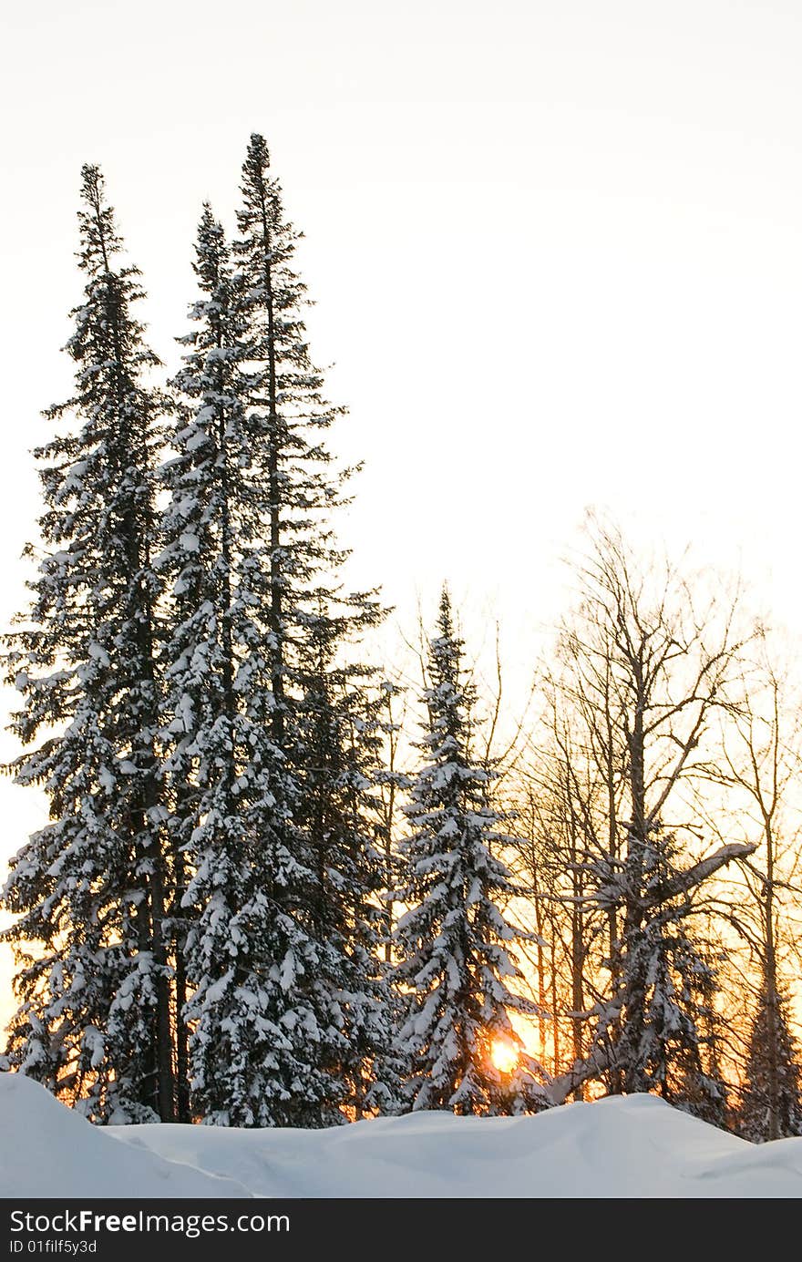 Beauty yellow sunset in siberian mountains. Beauty yellow sunset in siberian mountains