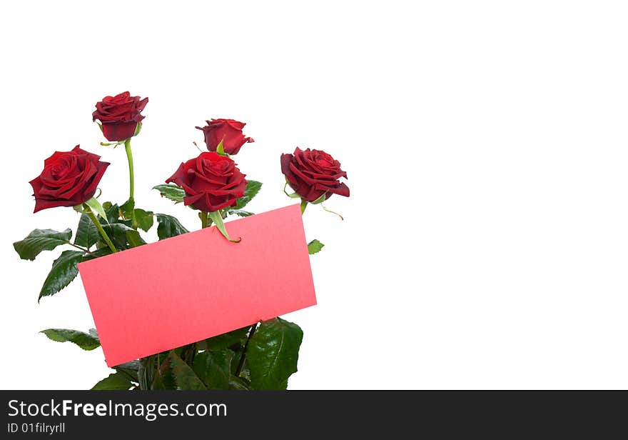 Red roses in a bouquet with a blank card.