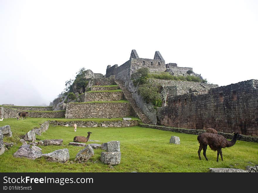 Machu Picchu is a pre-Columbian Inca site located 2,430 metres (8,000 ft) above sea level. It is situated on a mountain ridge above the Urubamba Valley in Peru, which is 80 kilometres (50 mi) northwest of Cusco and through which the Urubamba River flows. The river is a partially navigable headwater of the Amazon River. Machu Picchu is a pre-Columbian Inca site located 2,430 metres (8,000 ft) above sea level. It is situated on a mountain ridge above the Urubamba Valley in Peru, which is 80 kilometres (50 mi) northwest of Cusco and through which the Urubamba River flows. The river is a partially navigable headwater of the Amazon River.