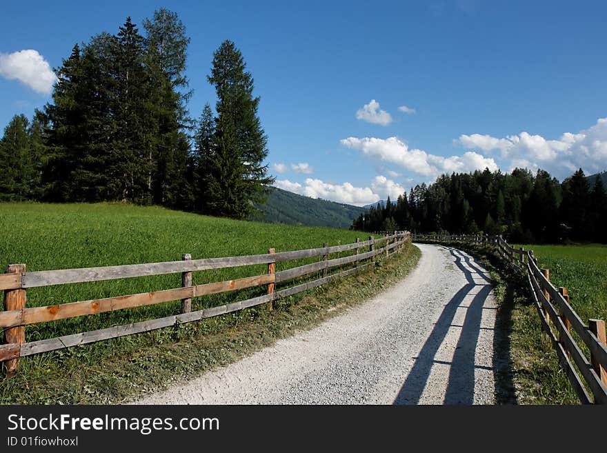 Alpine countryside road among meadows