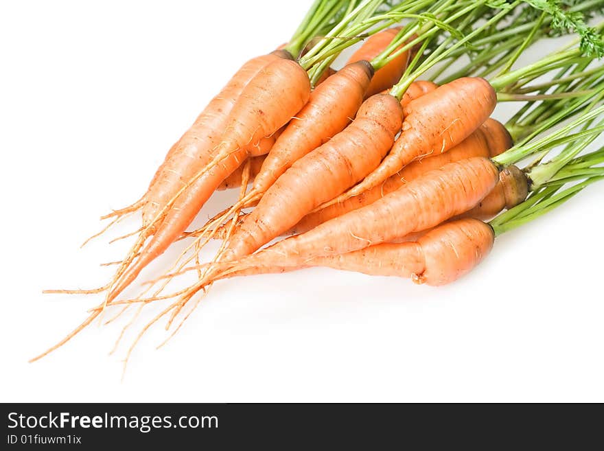 Carrot isolated on white background