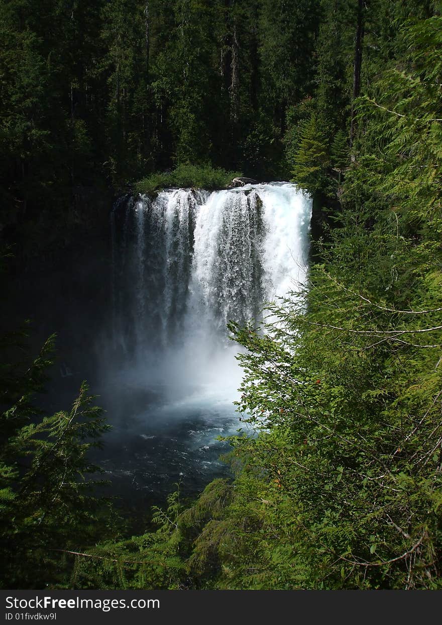 Koosah Falls - Waterfall on the Mckenzie River in Beautiful Western Oregon. Koosah Falls - Waterfall on the Mckenzie River in Beautiful Western Oregon.