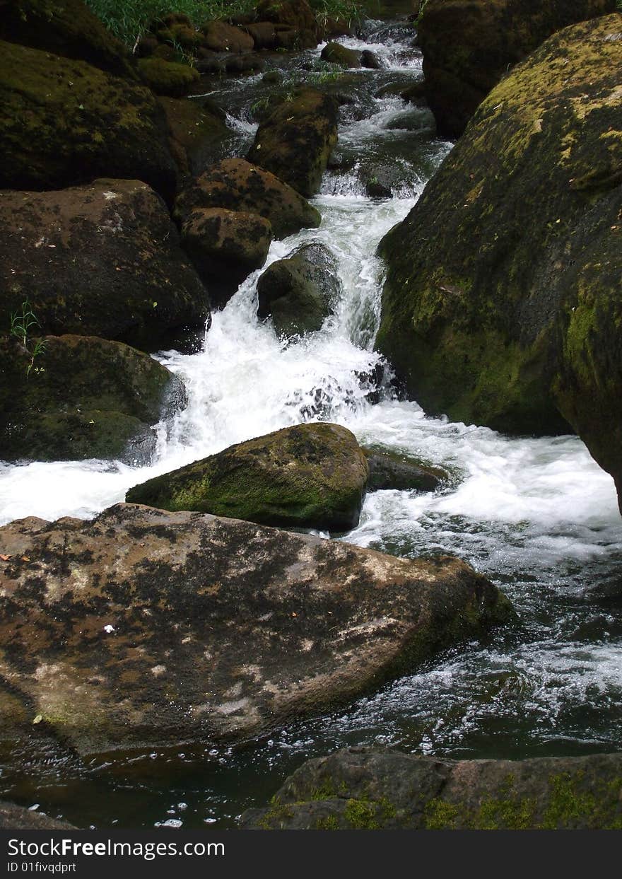 Stream in Western Oregon. Water flowing between large mossy rocks. Stream in Western Oregon. Water flowing between large mossy rocks.