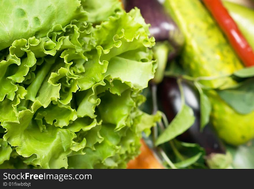 Fresh vegetables close up view.