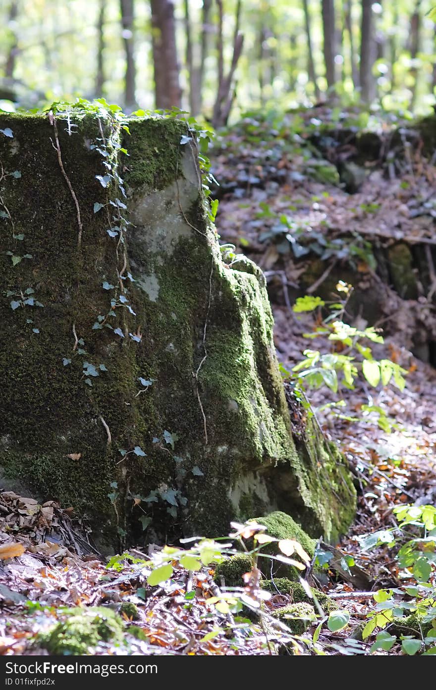 Big overgrown rock in the summer forest. Narrow depth of field. Big overgrown rock in the summer forest. Narrow depth of field.