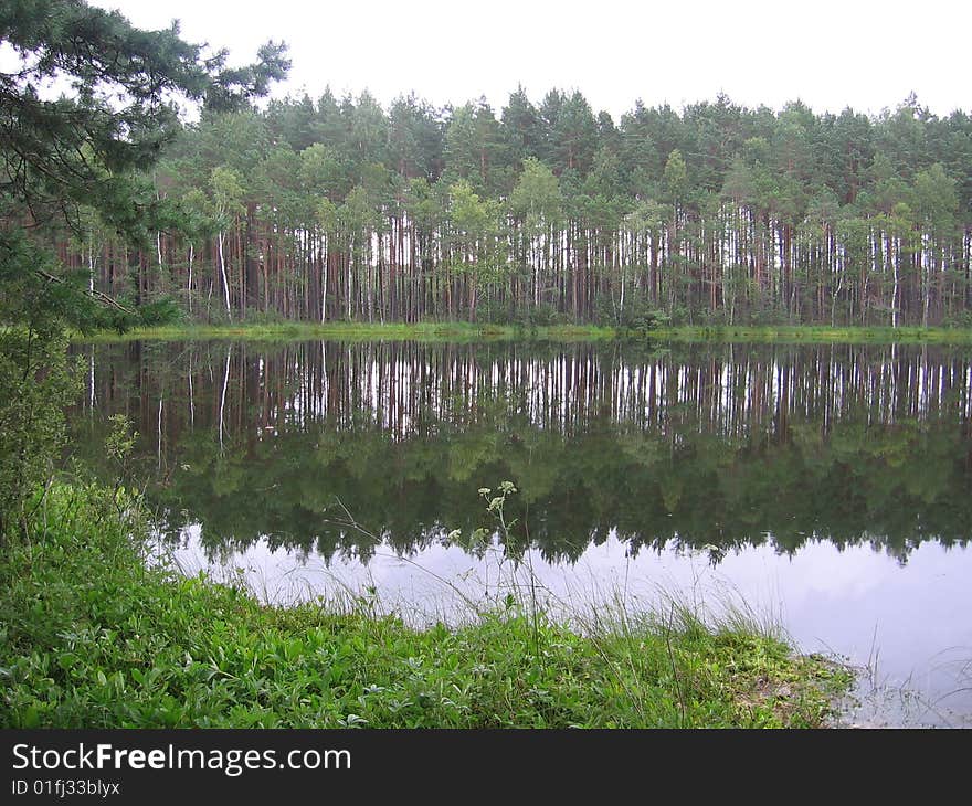 Belarus,Ushachskiy region.Small lake in wood.