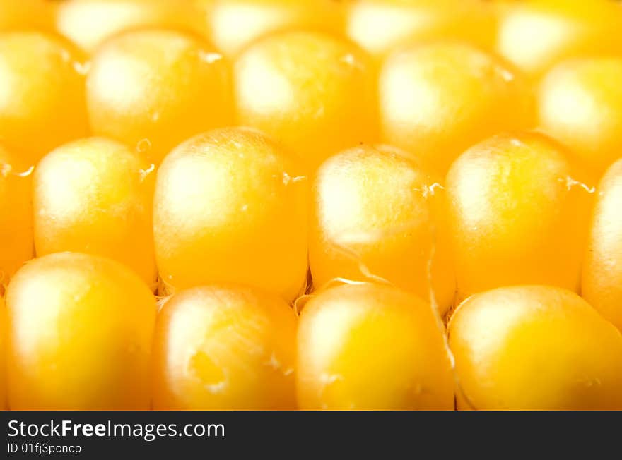 Freshly harvested corn close up