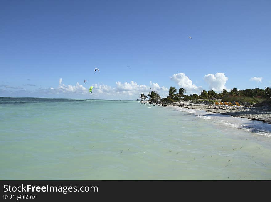 View of nice tropical empty sandy beach with some palms. View of nice tropical empty sandy beach with some palms