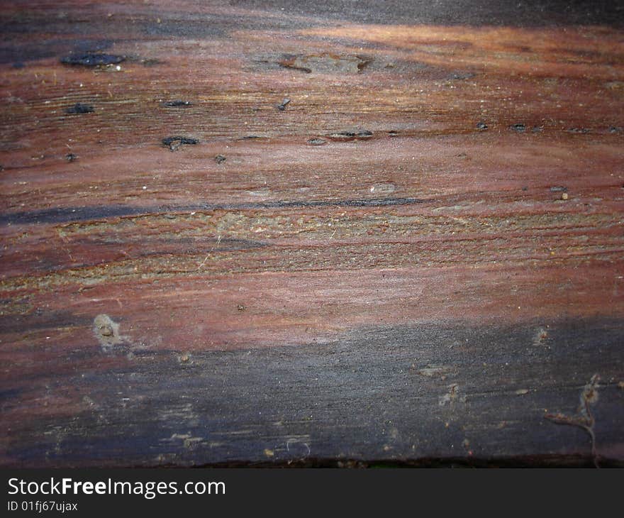 Nature Wood Grain Texture