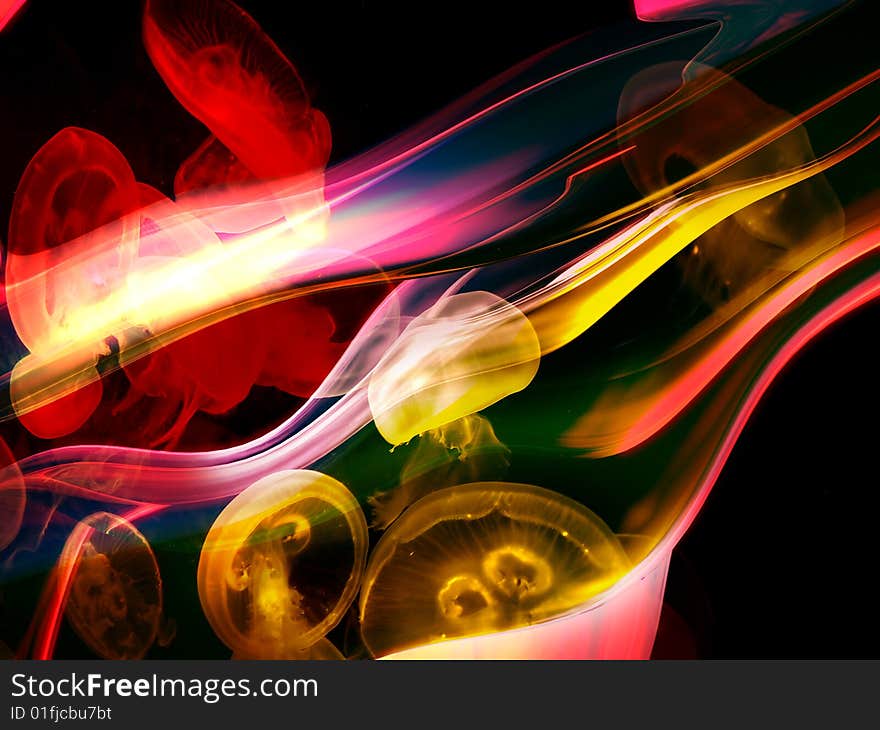 Abstract Squid background image