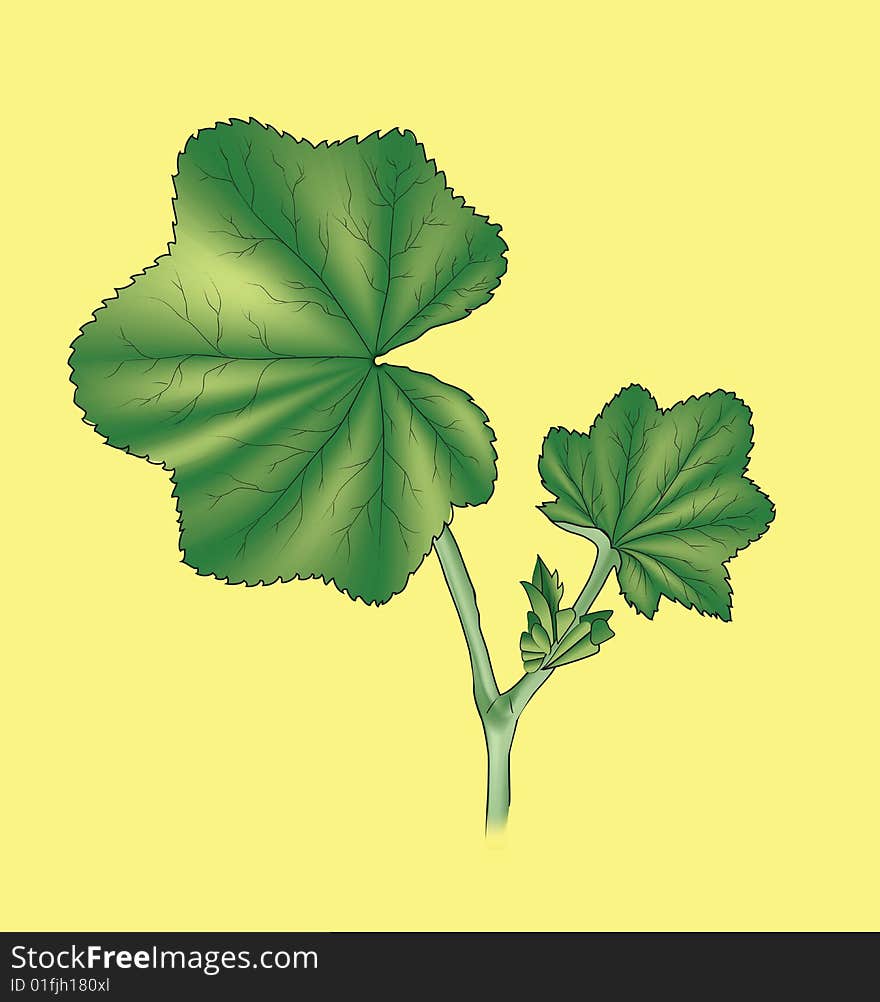 Green leaves on yellow background