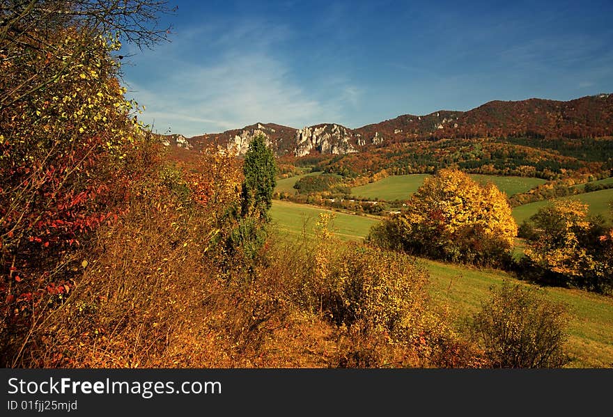 Autumn color