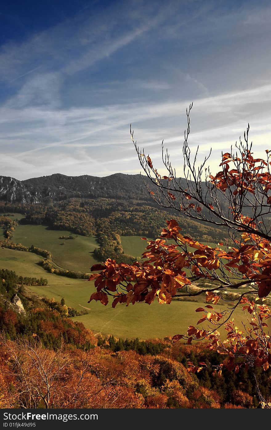 Autumn color