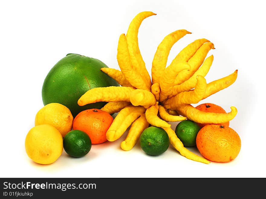 Oranges, limes, lemons, Buddha Hand lemon and green grapefruit makes a colorful display of citrus fruits. Oranges, limes, lemons, Buddha Hand lemon and green grapefruit makes a colorful display of citrus fruits.