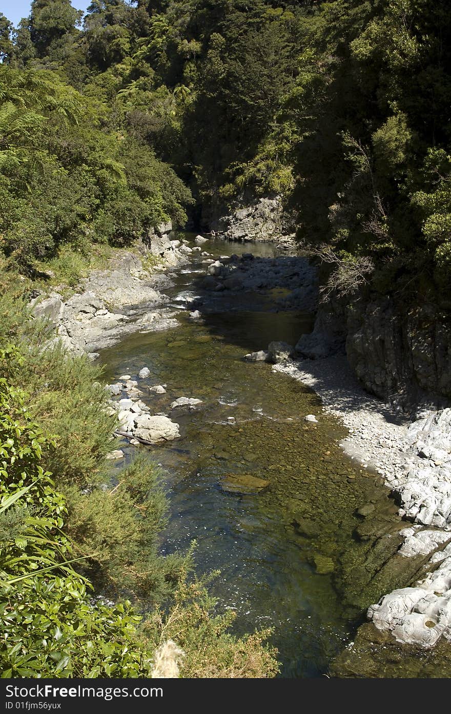 This wild river in New Zealand