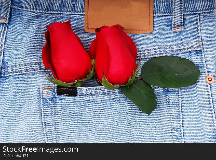 A couple of roses tucked in a denim pocket. A couple of roses tucked in a denim pocket.