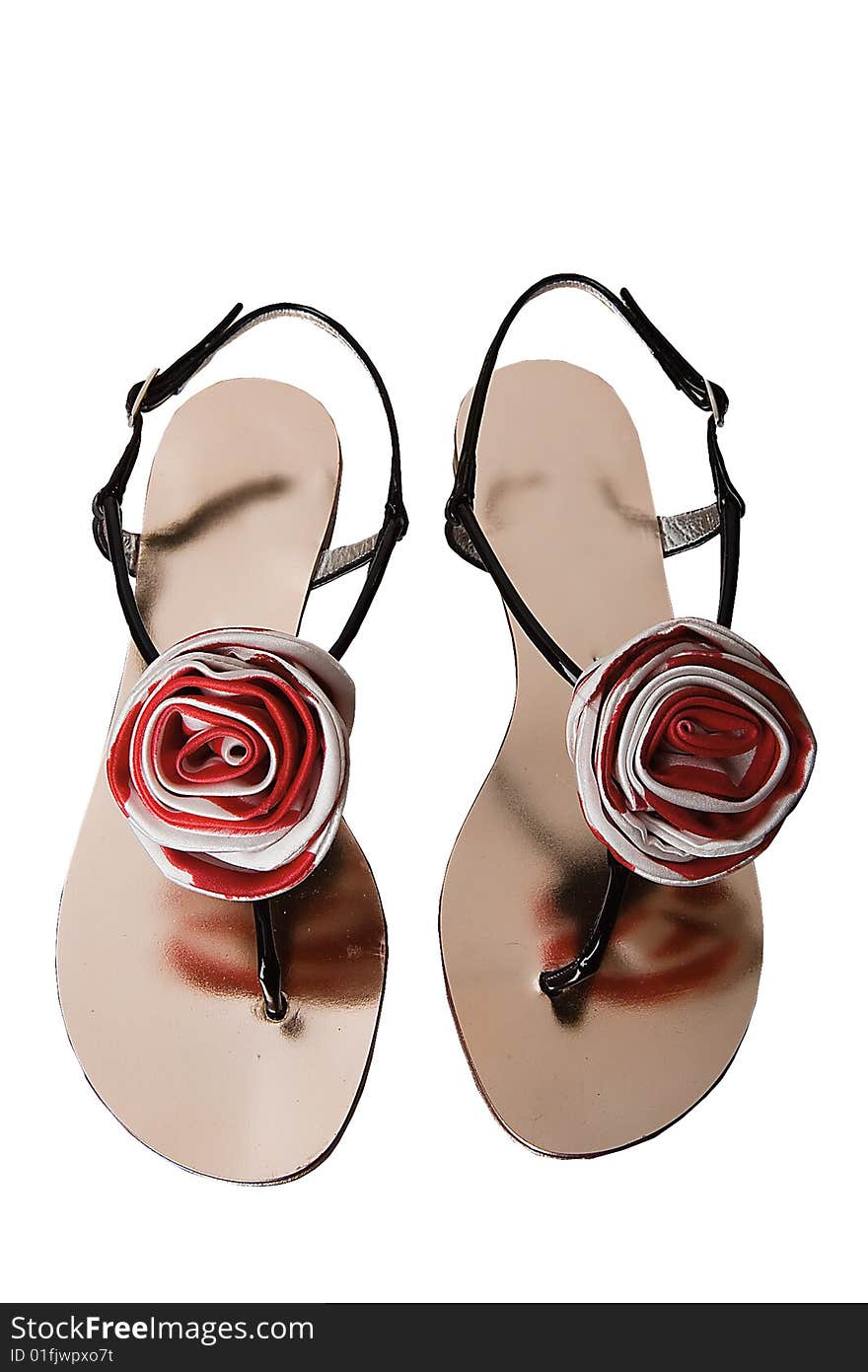 Woman rose flower leathers shoes