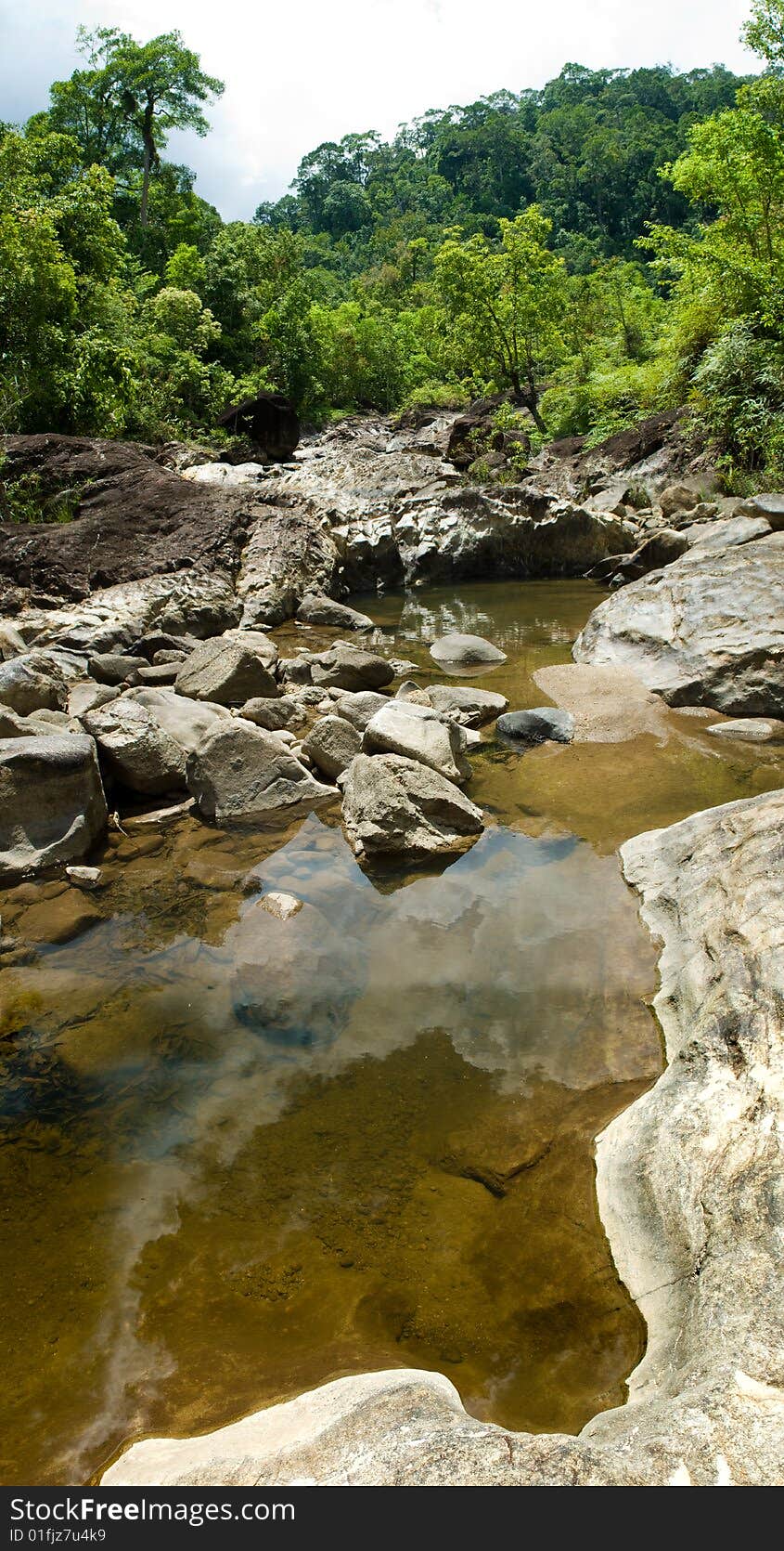 Stony brook in the forest, Phuket, Thailand