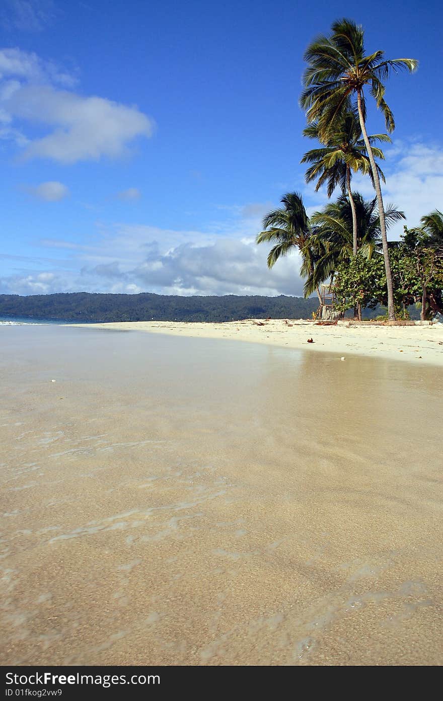 Beach on the island