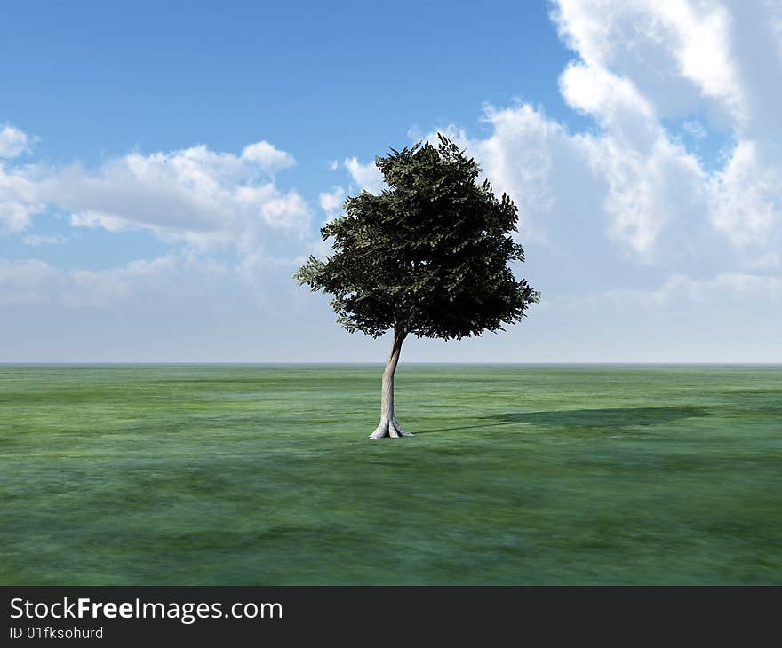 Tree In Green landscape