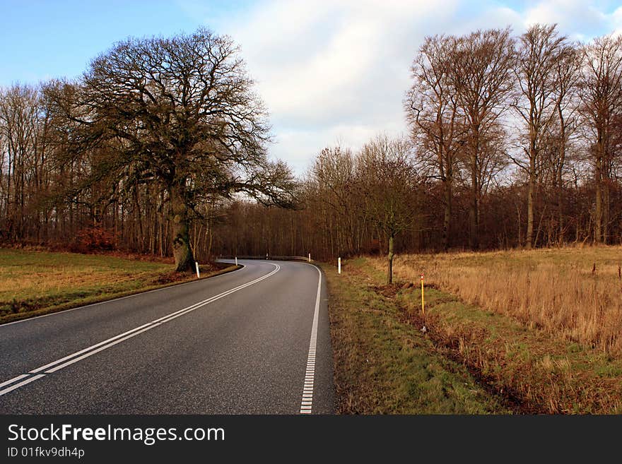 Typically Danish country road photographed at winter time